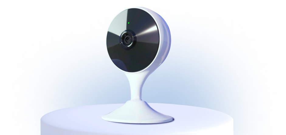 Камера видеонаблюдения в Шишкине Лесе 